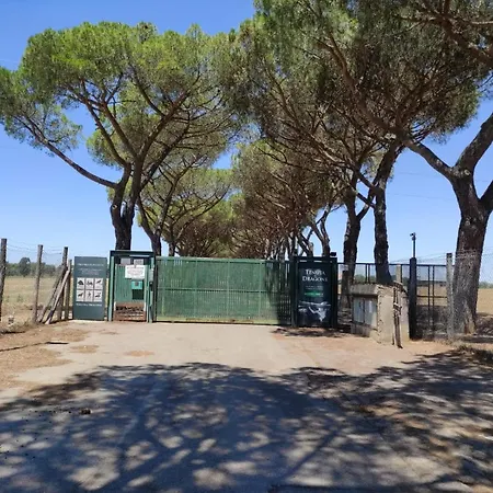 Country Dragona House Tra Mare E Acilia